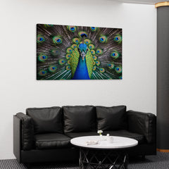 Colorful Peacock Wall Art