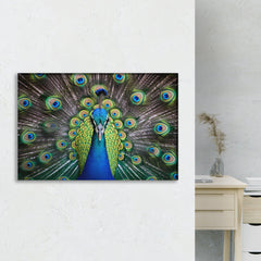 Colorful Peacock Wall Art